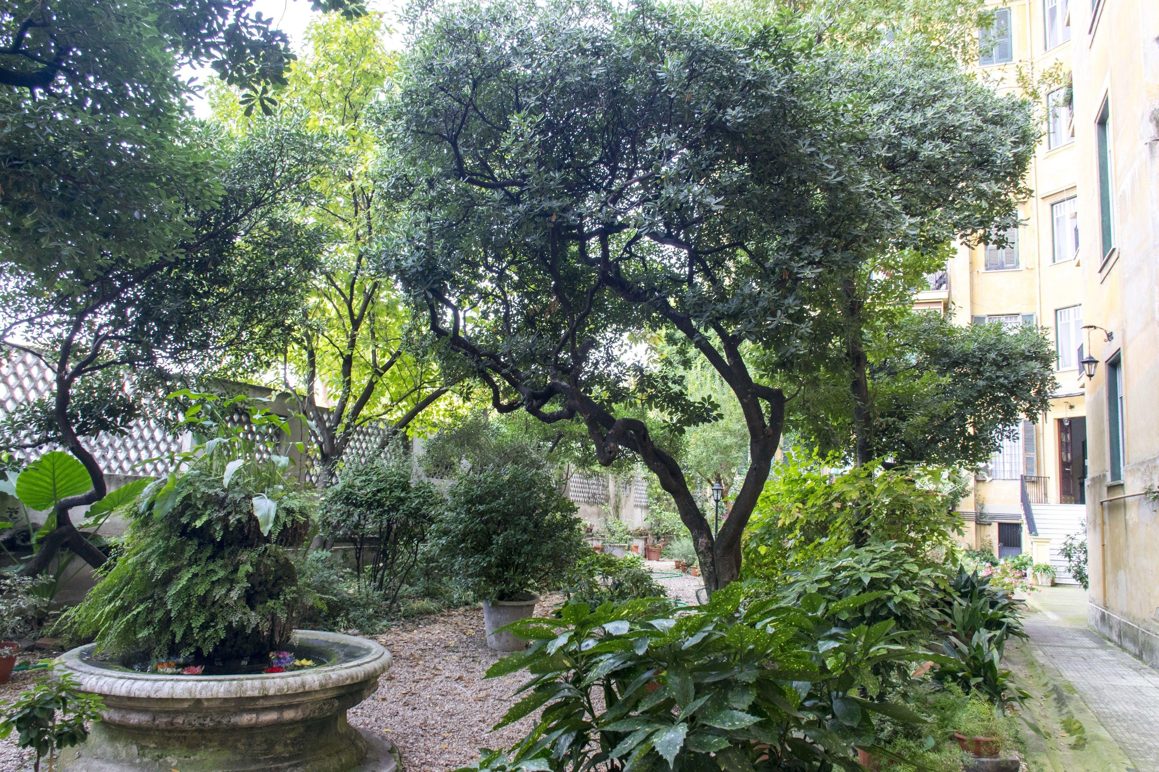 Rome Charming Suites — Zdjęcia 2